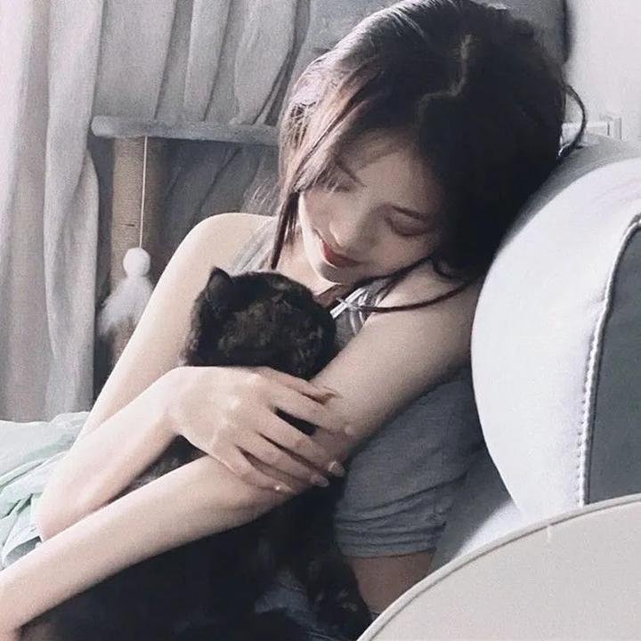 北斗之拳系列: 多奇传
