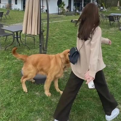 嗜血之爱